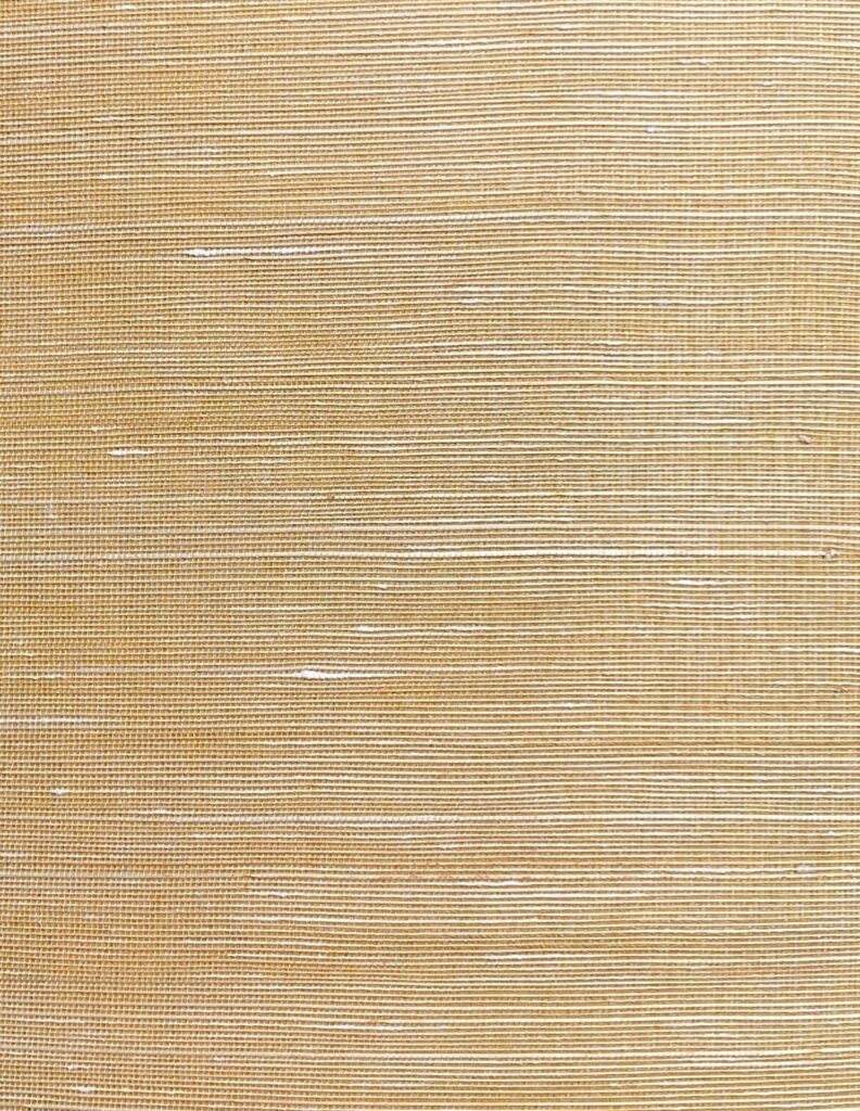 Abaca Sunlight 013