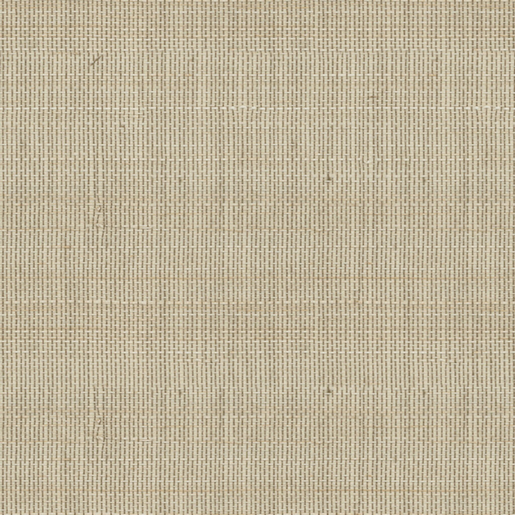 Abaca Forest leaves 016