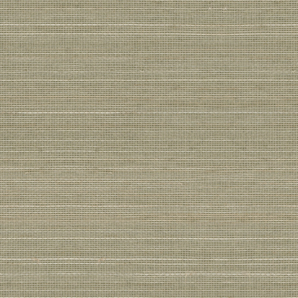 Abaca Hacksley 017