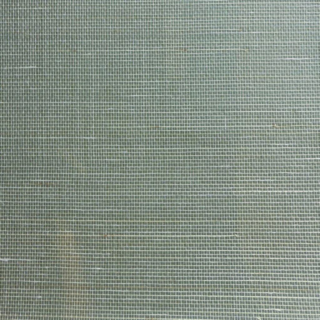 Abaca Fern 035