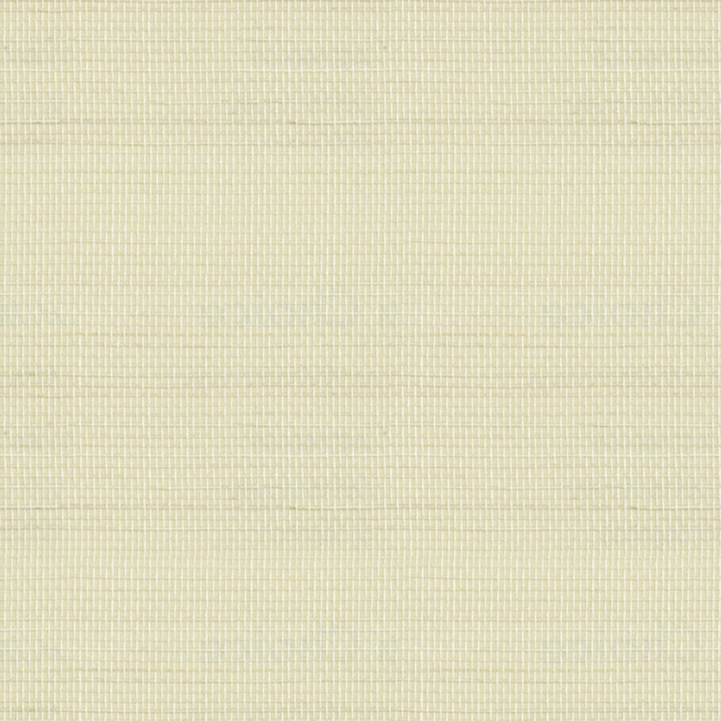 Abaca Lime 005