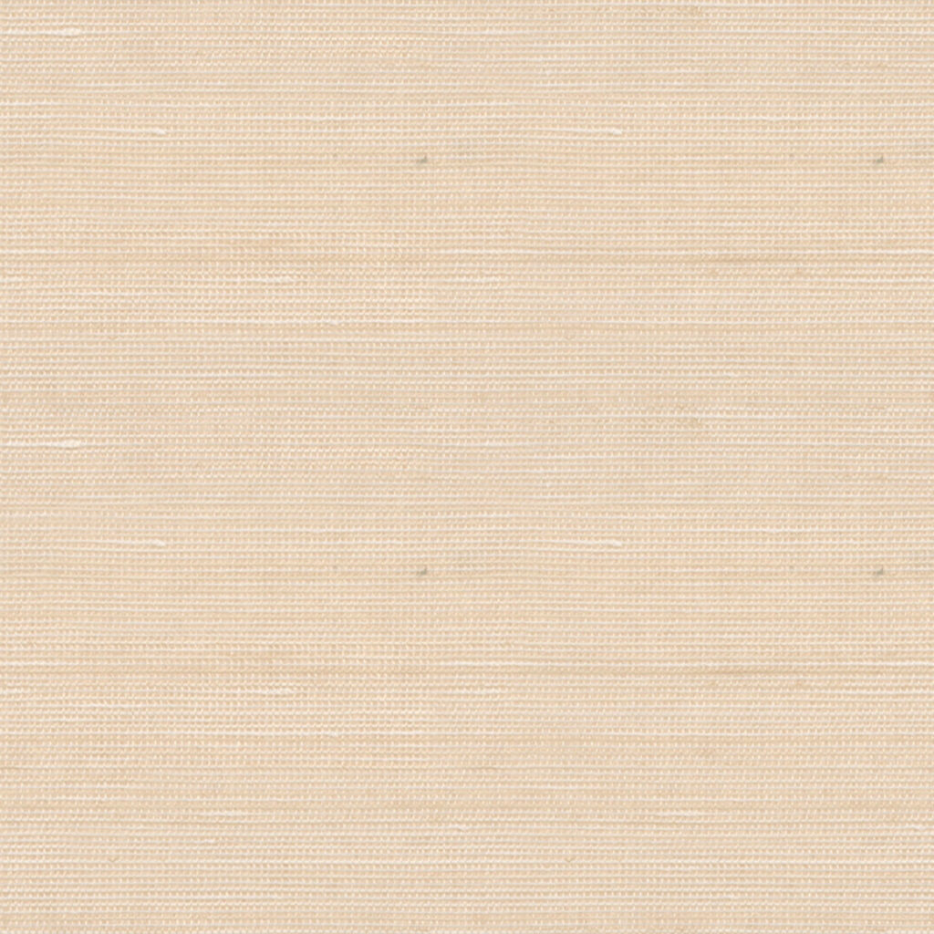 Abaca Shell 007
