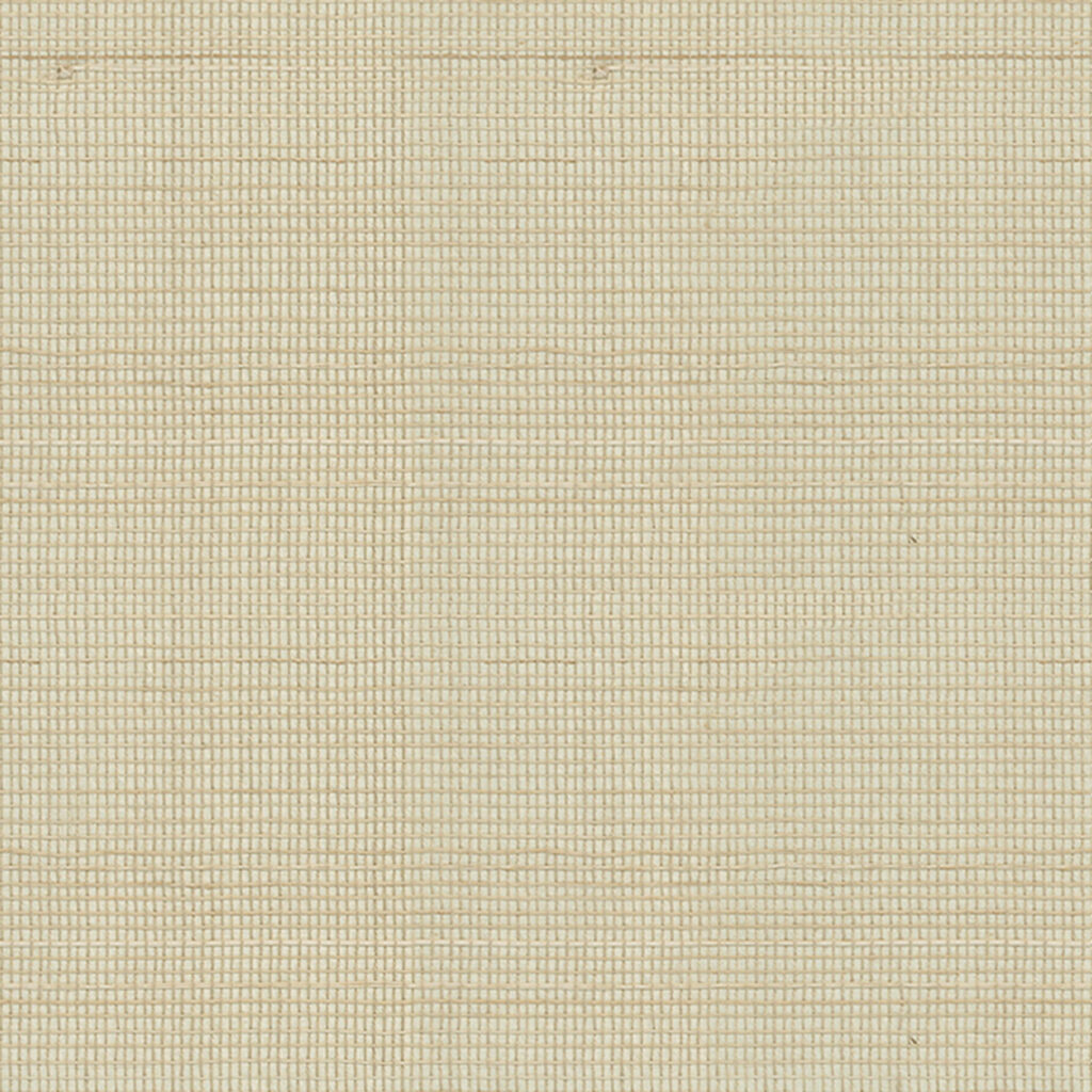 Sisal 014