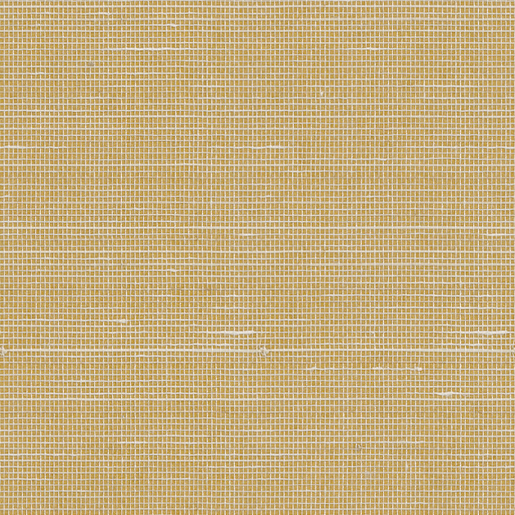 Sisal 016