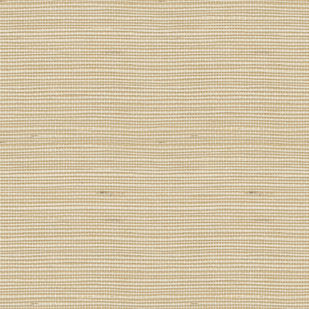 Sisal 025