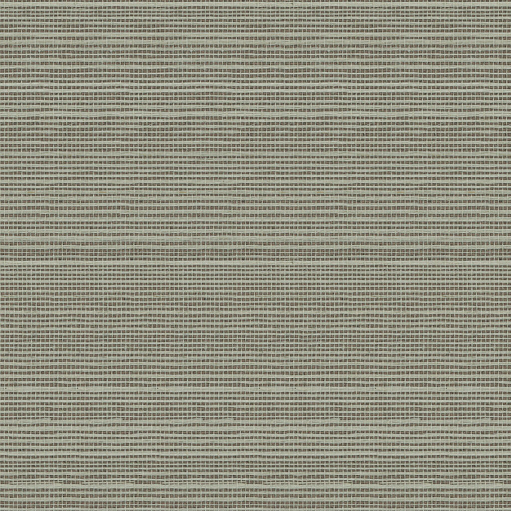 Sisal 033