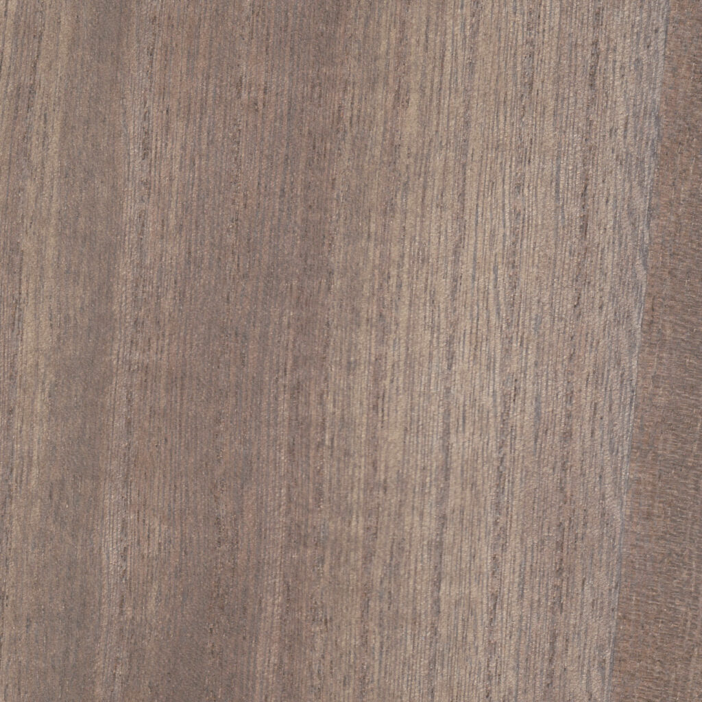 Paulonia WHITE PEPPER  04