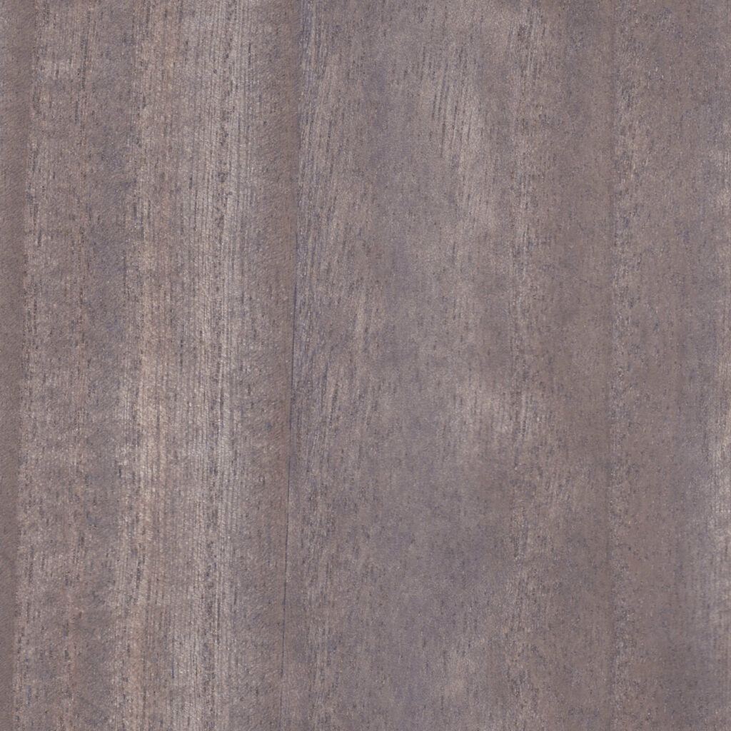 Paulonia CHARCOAL GRAY  05