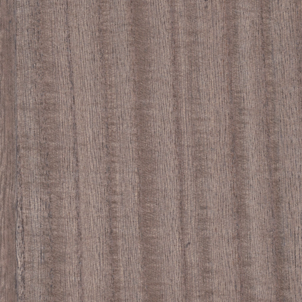 Paulonia OLIVE DRAB  08