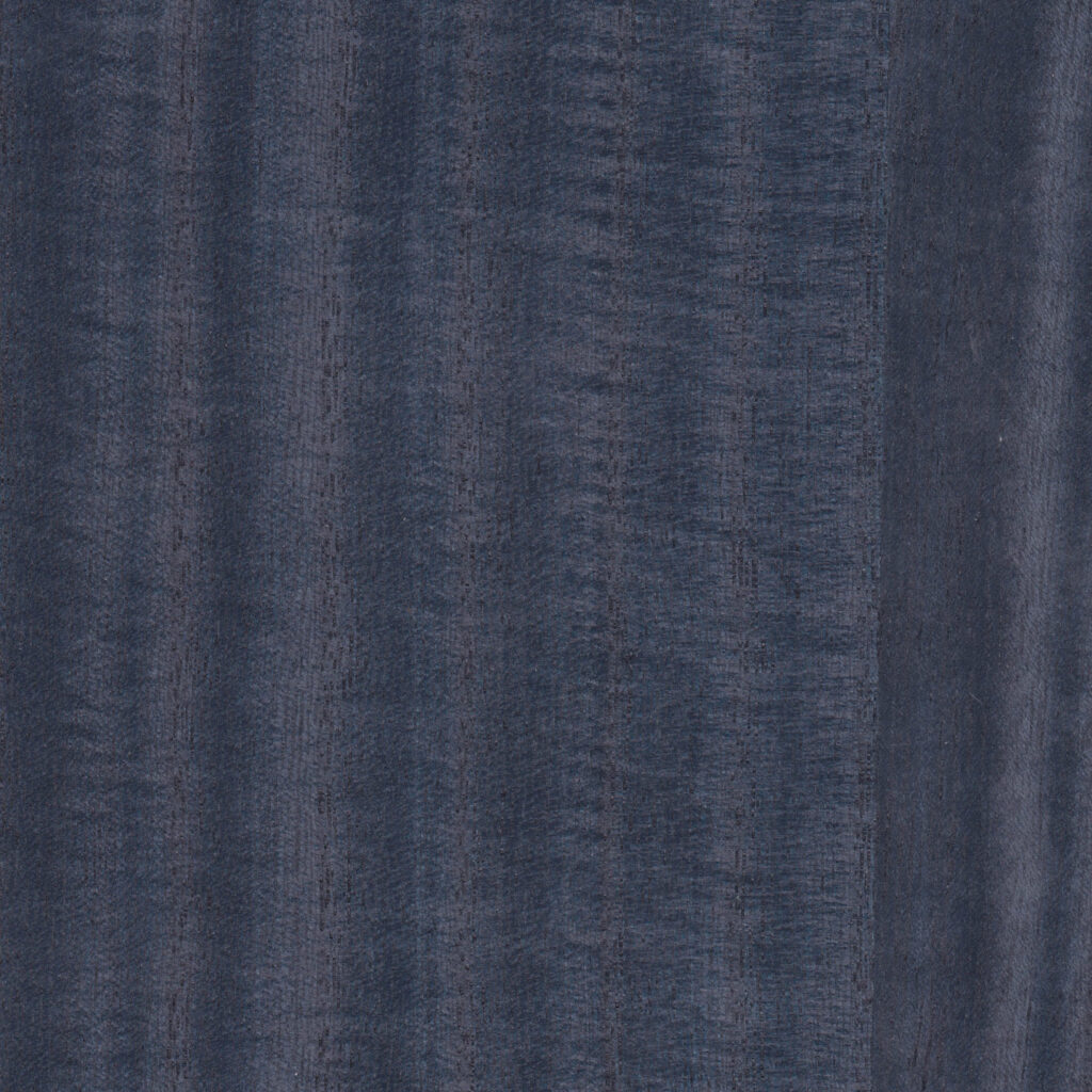 Paulonia DARK BLUE 14