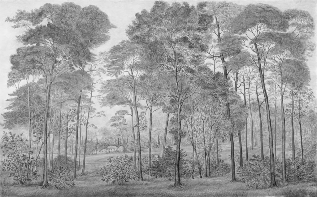 N38 Spring Walk CLASSIC GREY