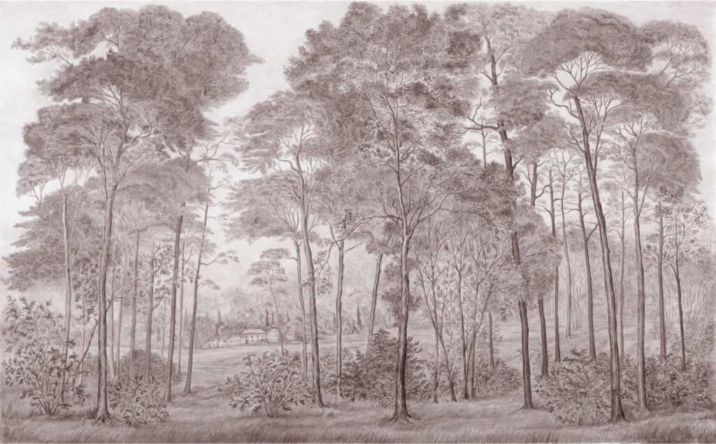 N38 Spring Walk WARM GREY