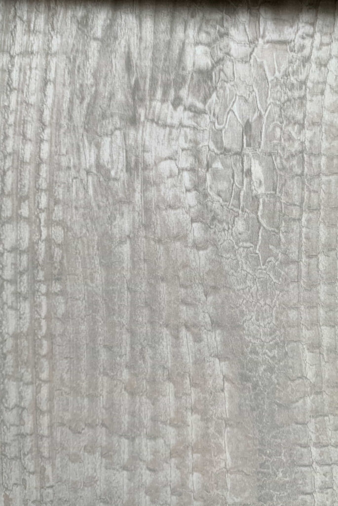 ENGINEER WOOD VENEER II 6