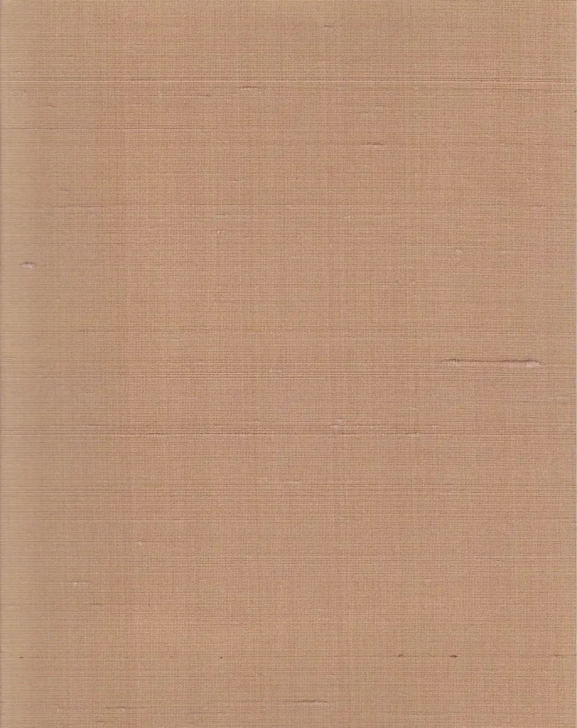 Indian Silk 25
