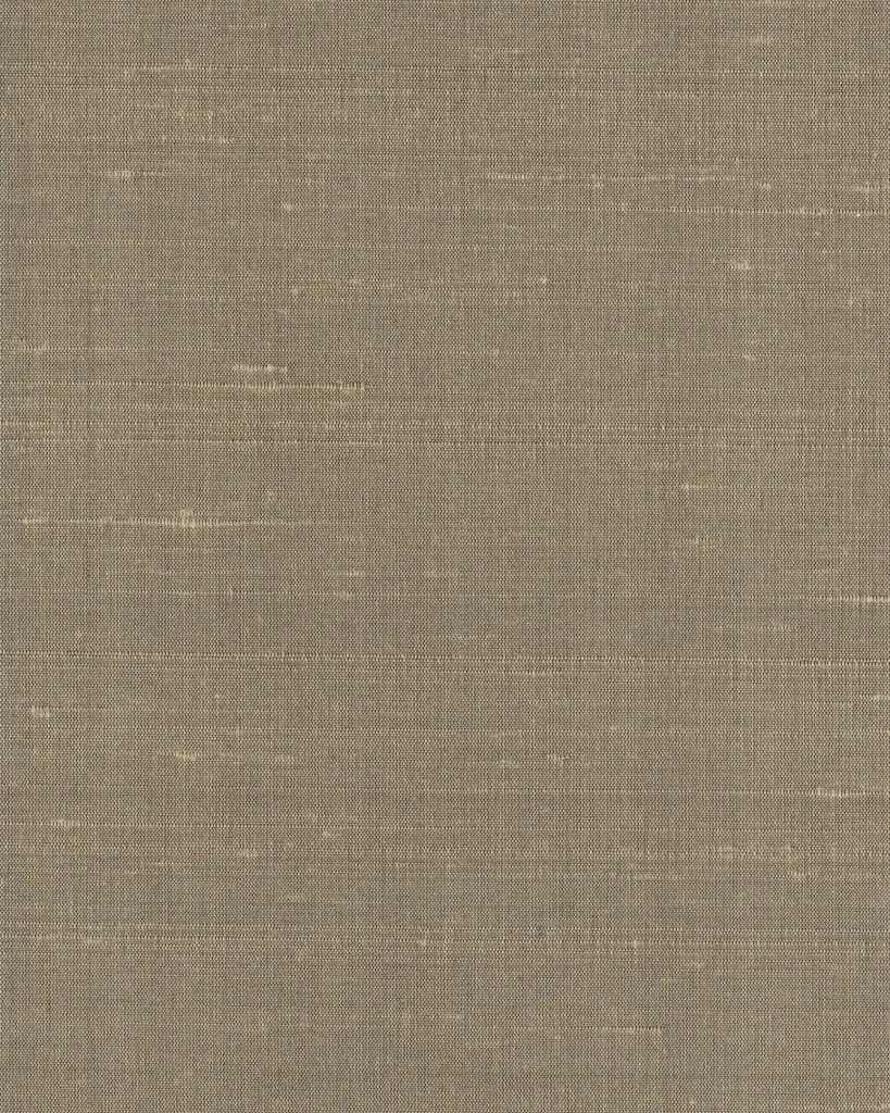 Indian Silk 05