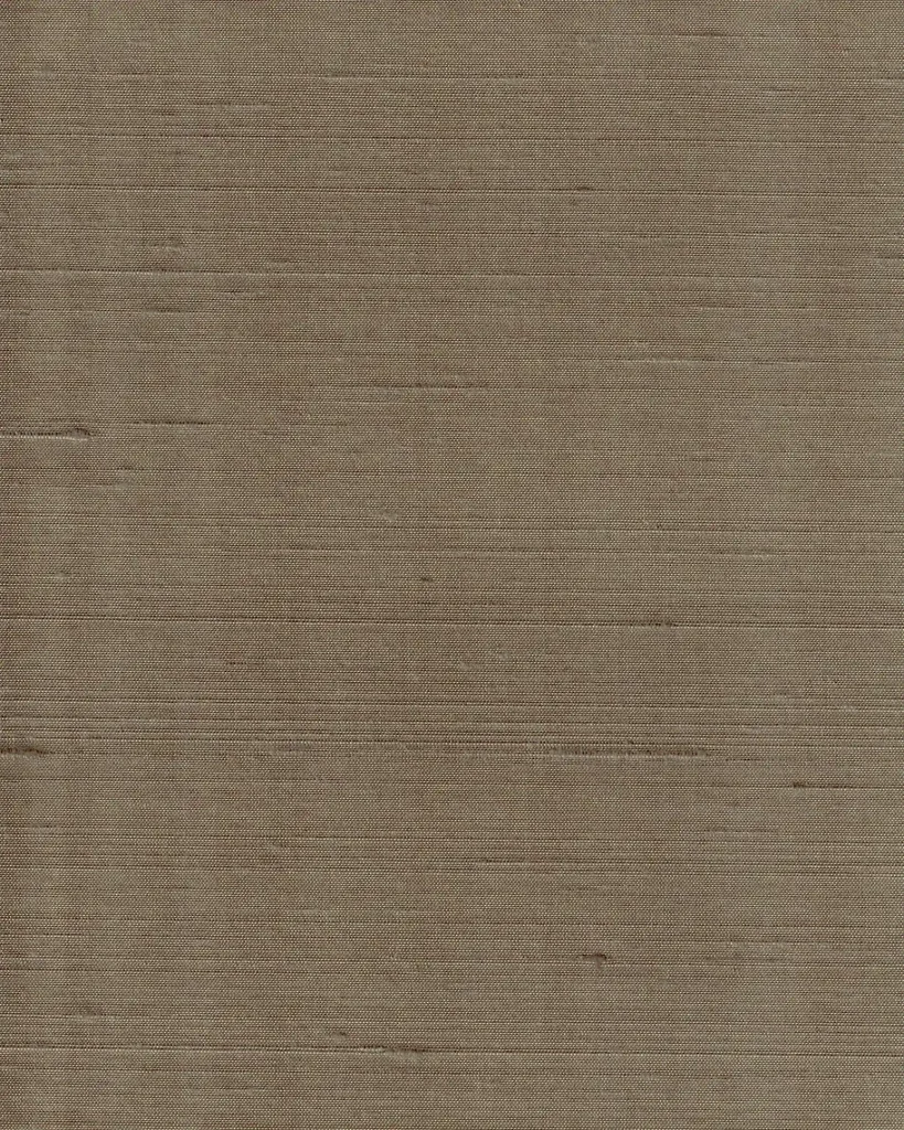 Indian Silk 06