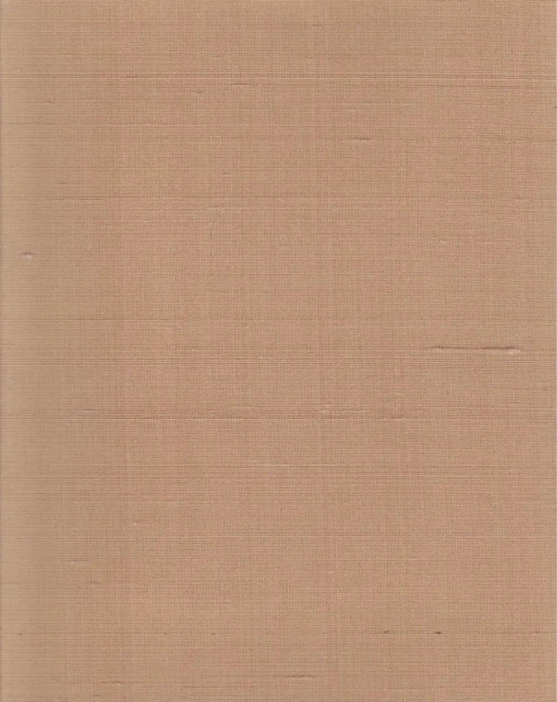 Indian Silk 25