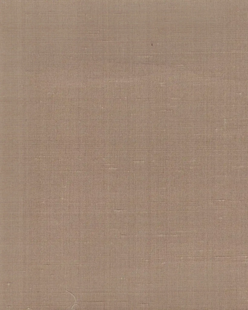 Indian Silk 26