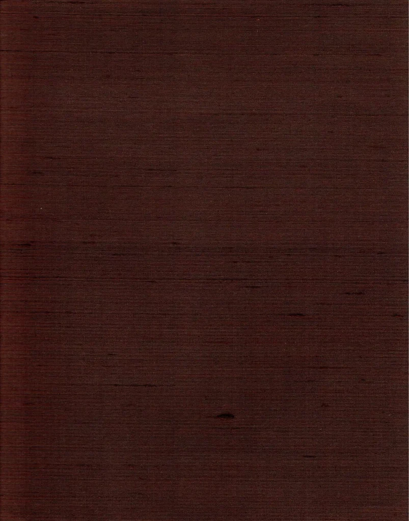 Indian Silk 28