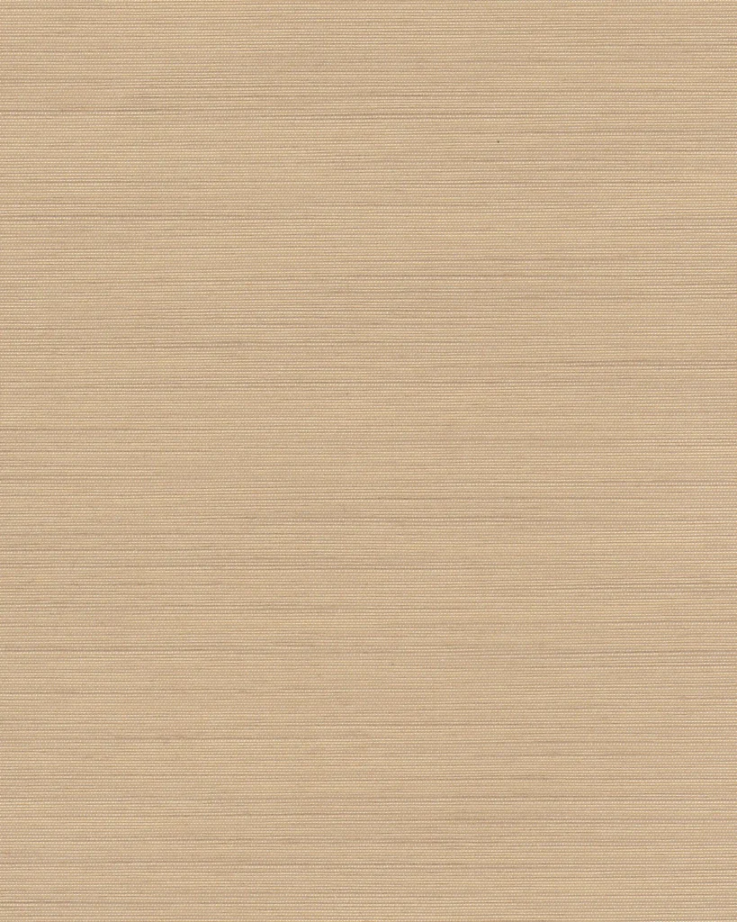 Silk and Cotton 17