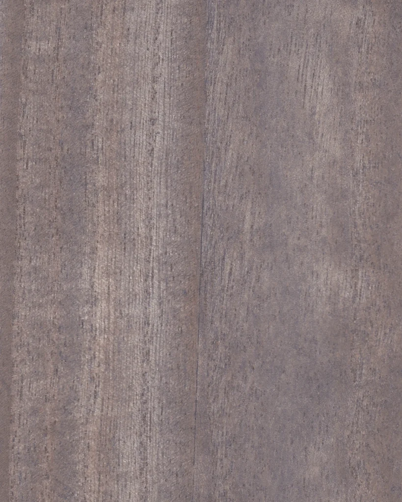 Paulonia CHARCOAL GRAY  05