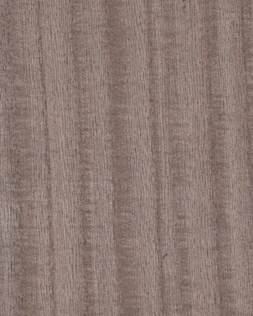 Paulonia OLIVE DRAB  08