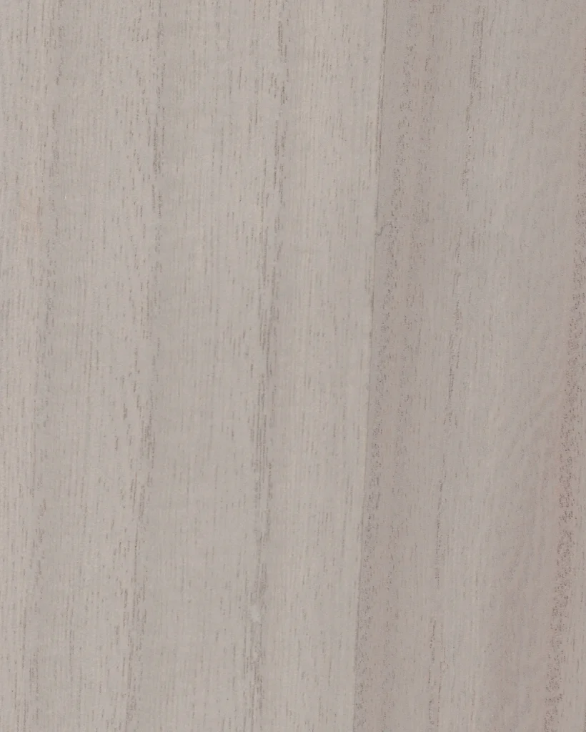 Paulonia LIGHT PURPLE 16
